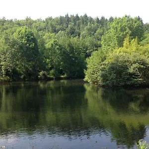 Domaine Du Moulin Couette-café